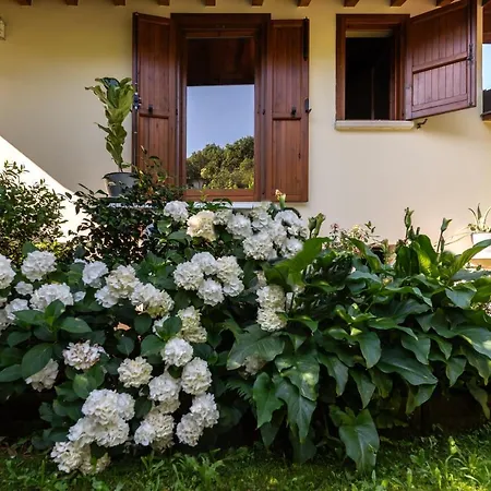 Alice Nel Paese Delle Meraviglie Bed and breakfast Gavardo