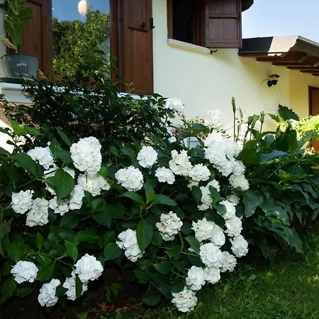 Alice Nel Paese Delle Meraviglie Bed and breakfast