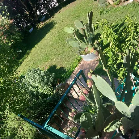 Alice Nel Paese Delle Meraviglie Bed & Breakfast 3*