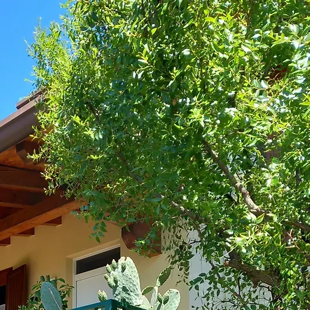 Alice Nel Paese Delle Meraviglie Bed & Breakfast 3*